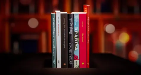 Роман «Драбина» Євгенії Кузнєцової потрапив до шортлиста премії Angelus — є в нашому каталозі