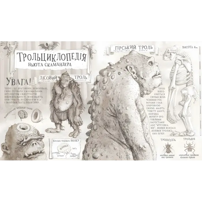 Гаррі Поттер і філософський камінь. Велике ілюстроване видання. Джоан Ролінґ