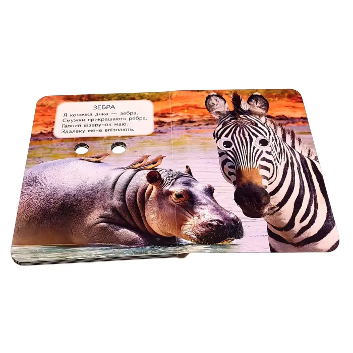 Цікаві книжки з оченятами «Дикі тварини» Віршики для малечі у картонному форматі (9786178405687)