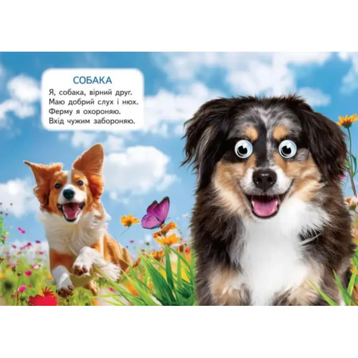 Цікаві книжки з оченятами «Ферма» Віршики для малечі у картонному форматі (9786178405694)