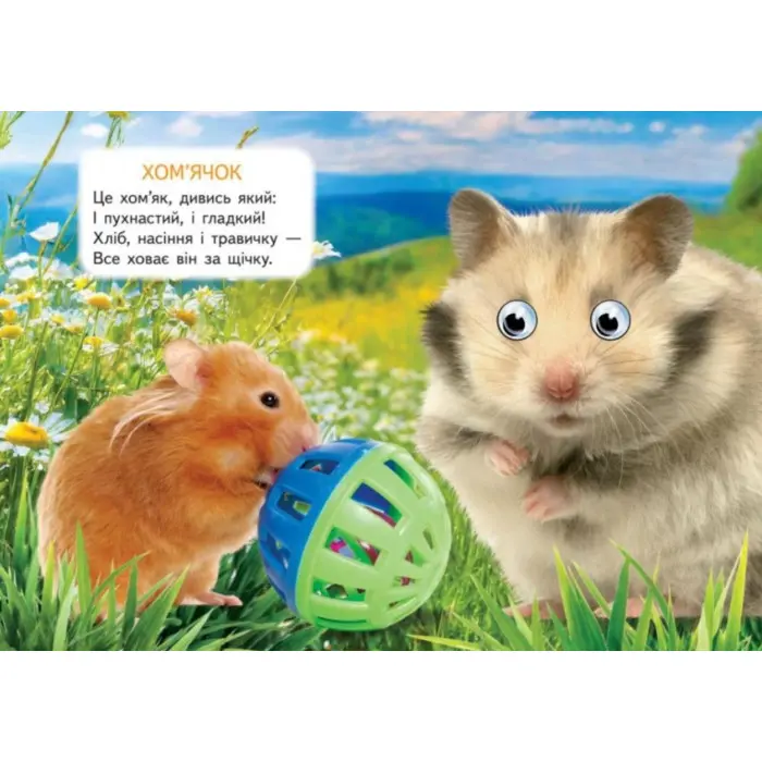 Цікаві книжки з оченятами «Ферма» Віршики для малечі у картонному форматі (9786178405694)