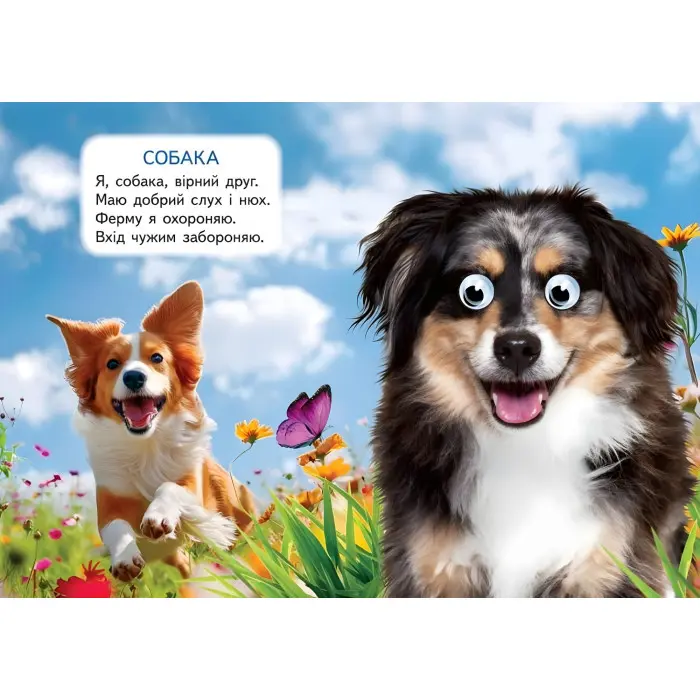 Цікаві книжки з оченятами «Ферма» Віршики для малечі у картонному форматі (9786178405694)