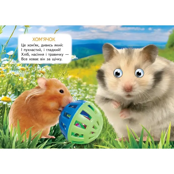 Цікаві книжки з оченятами «Ферма» Віршики для малечі у картонному форматі (9786178405694)