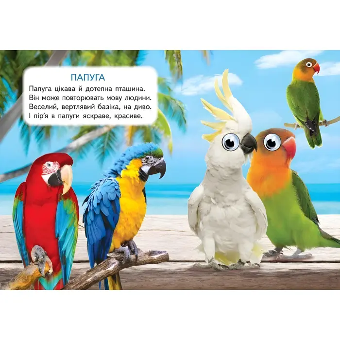 Цікаві книжки з оченятами «Хатні улюбленці» Віршики для малечі у картонному форматі (9786178405700)