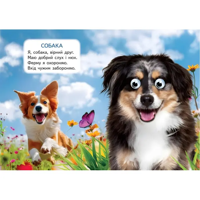 Цікаві книжки з оченятами «Хатні улюбленці» Віршики для малечі у картонному форматі (9786178405700)