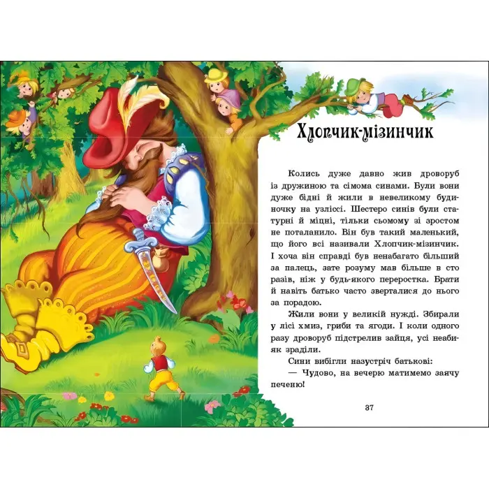 Казкова мозаїка Казки Шарля Перро (9786170986351)