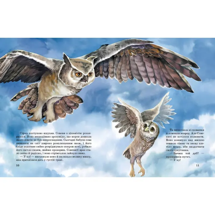 Книга Акварельні історії. Совеня, яке водило на прогулянки луну - Єва Сольська (9786170968173)