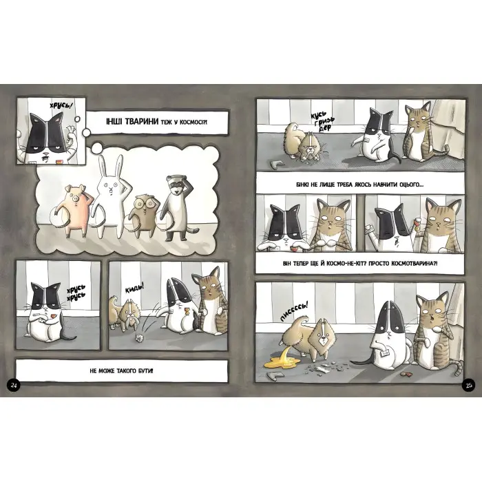 Книга Бінкі має доручення - Ешлі Спайрс (9786170980205)