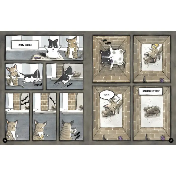 Книга Бінкі. Випробування - Ешлі Спайрс (9786170980199)