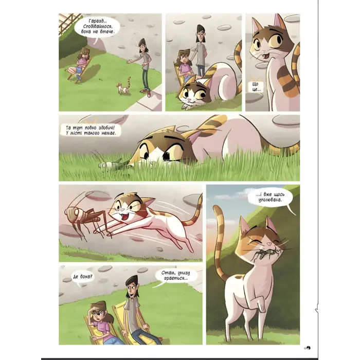 Книга Бріна : Бріна і Банда котячого сонця - Джорджо Салаті (9786170971371)