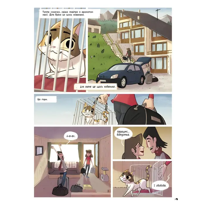 Книга Бріна : Бріна і Банда котячого сонця - Джорджо Салаті (9786170971371)