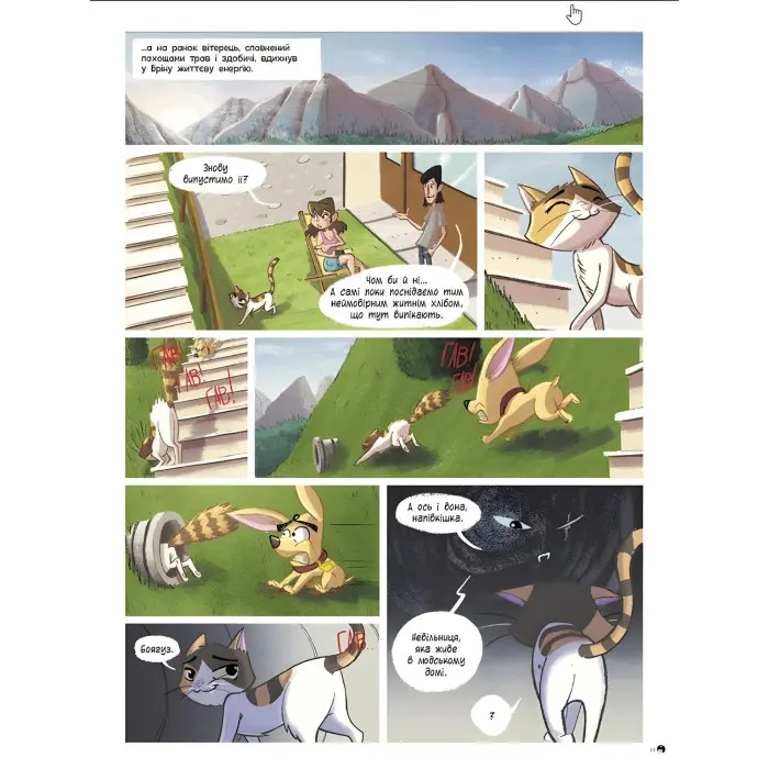 Книга Бріна : Бріна і Банда котячого сонця - Джорджо Салаті (9786170971371)