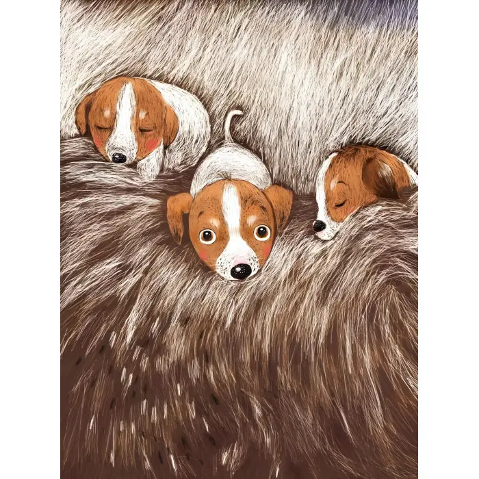 Книга Буду як Патрон - Ририх Катажина (9786171701335)