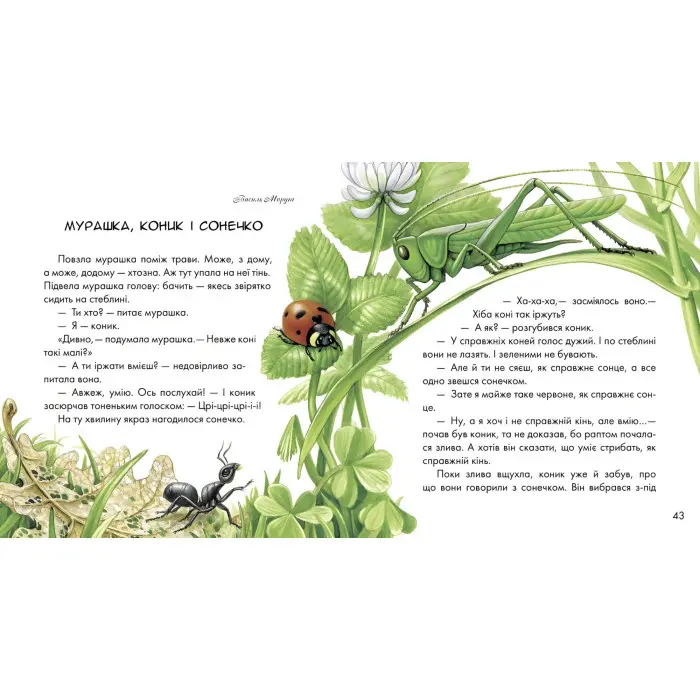 Книга Диво у долоньках - украинские писатели (9786170914804)