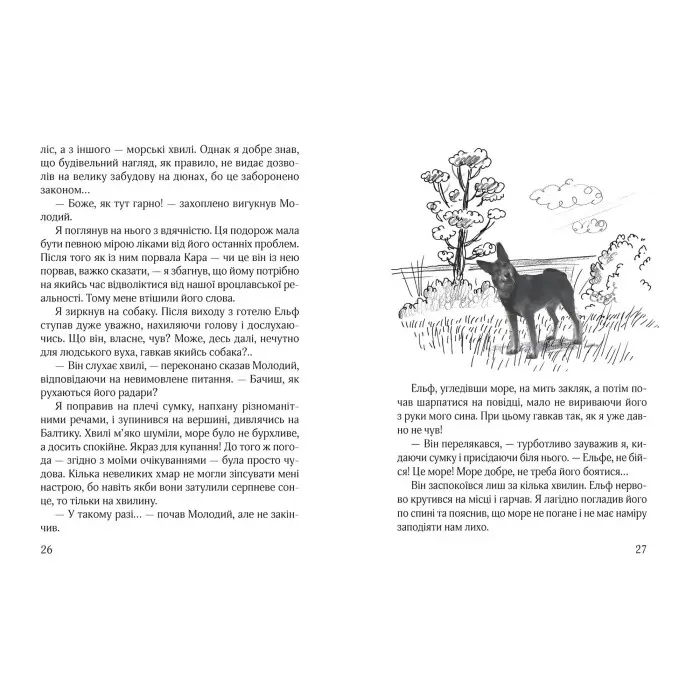 Книга Ельф Всемогутній Книга 3 - Марцін Палаш (9789664296035)
