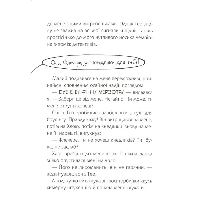 Книга Флечер.Примари геть-і шкереберть! - Антье Цилат, Ян Бирк (9789669823229)