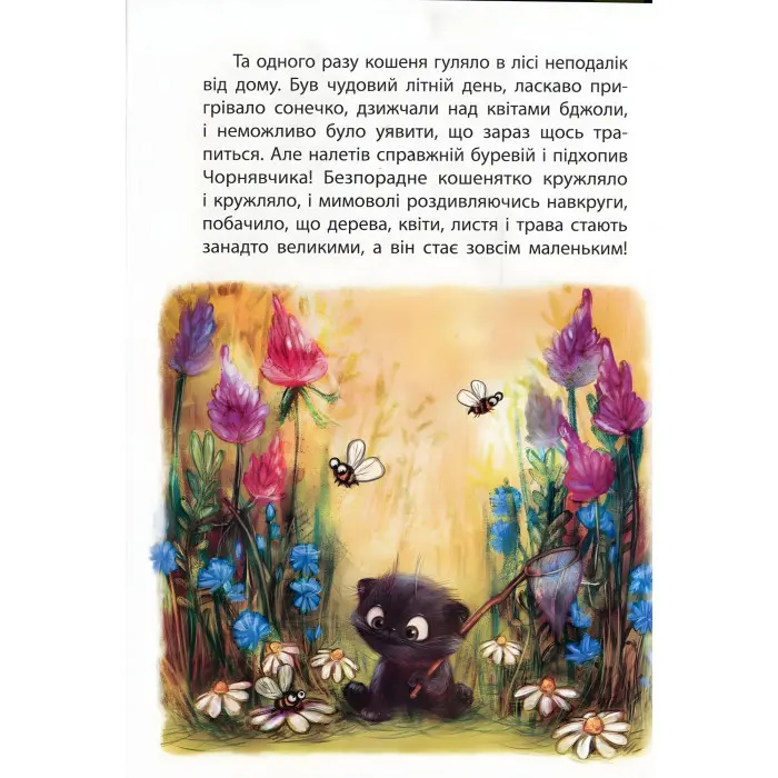 Книга Казки Моя казкотерапія. Країна Замазурія - Демченко О.Ю. (9786170944740)