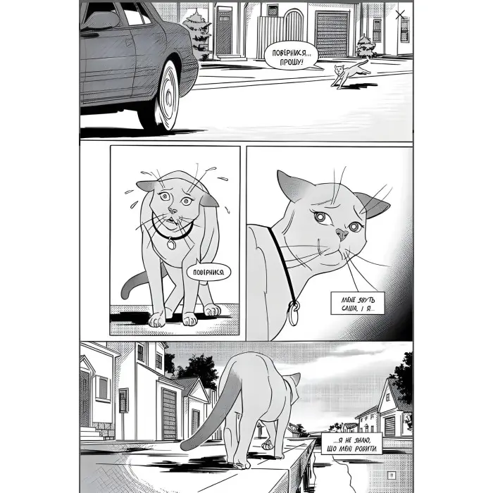 Книга Коти-вояки. Манґа 5. Тигрозір і Саша. У ліси! - Ерін Гантер (9786178229337)