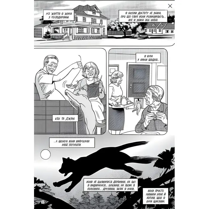 Книга Коти-вояки. Манґа 5. Тигрозір і Саша. У ліси! - Ерін Гантер (9786178229337)