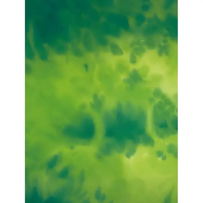 Книга Лис і його нові друзі - Тібо Прюнь (9786171702554)