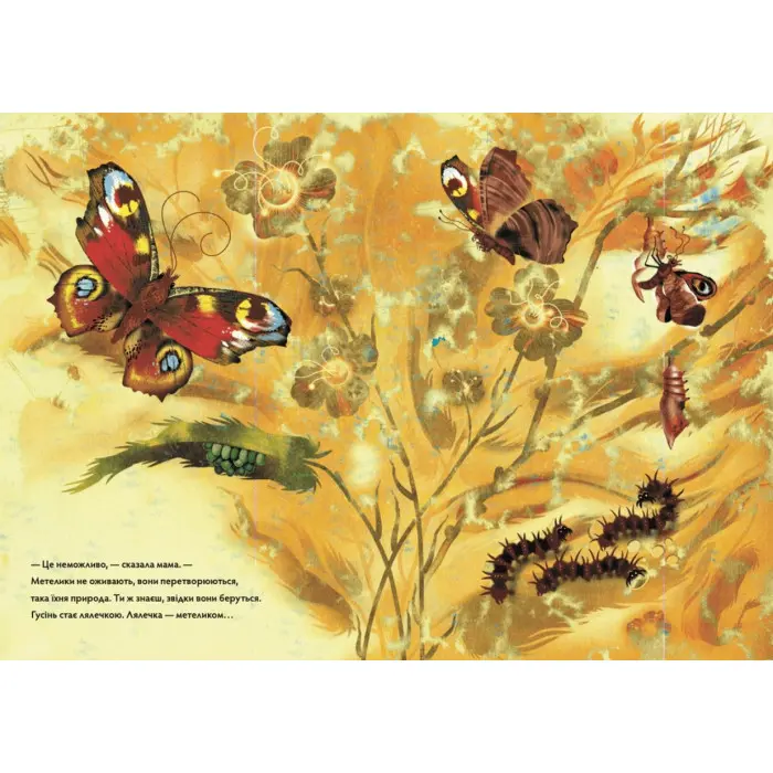 Книга Метелики перетворюються - Вдовиченко Галина (9789664481349)