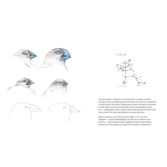 Книга Однакові чи різні? Геноміка - Майнеро Франсіско Хав'єр Соберон, Берґна Моніка (9786176796633)