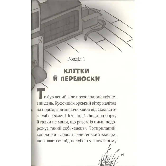 Книга Пан Пес і їжачок із колючок - ФОҐЛ Бен, КОУЛ Стів (9789669828828)