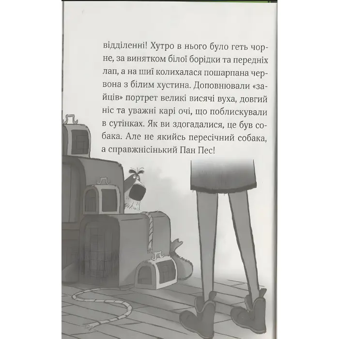 Книга Пан Пес і їжачок із колючок - ФОҐЛ Бен, КОУЛ Стів (9789669828828)