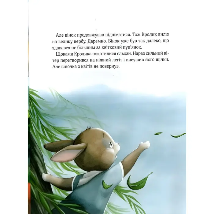 Книга Прекрасні бабусині казочки з садочка - Карі-Марі Амйо (9786171703391)