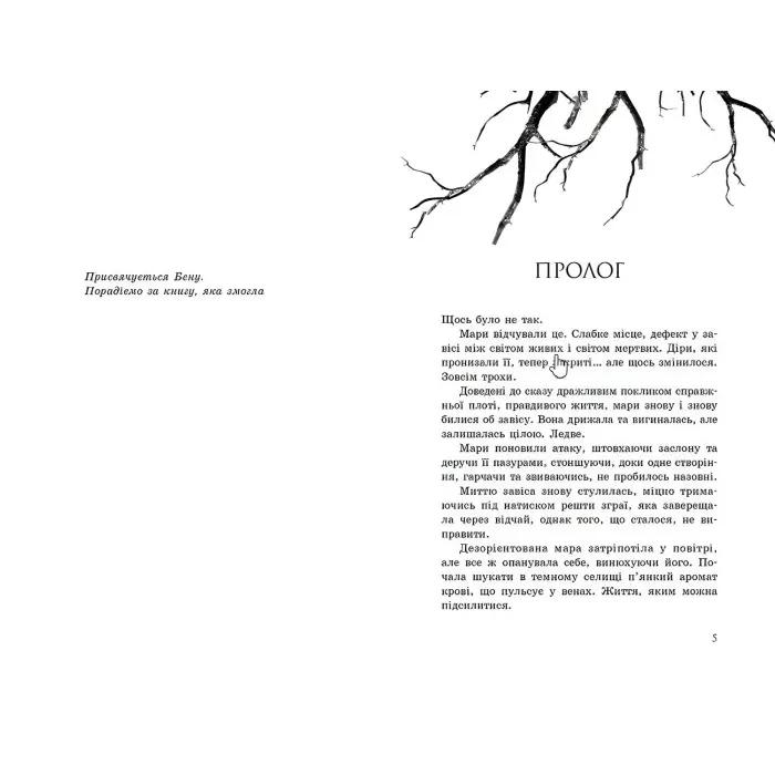 Книга Провідник : Вигнанці. Книга 3 - Клер Мак-Фолл (9786170972682)