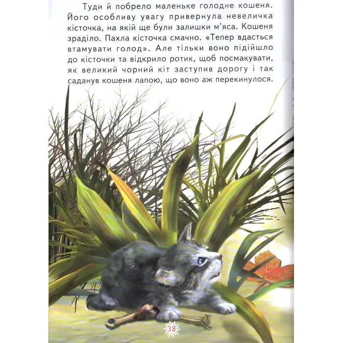 Книга Пухнасте щастя - (9786177403035)