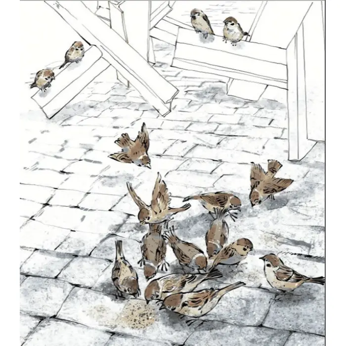 Книга Руді і Чумацький Шлях - Григорій Фалькович (9789664480793)