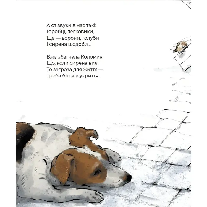 Книга Руді і Чумацький Шлях - Григорій Фалькович (9789664480793)