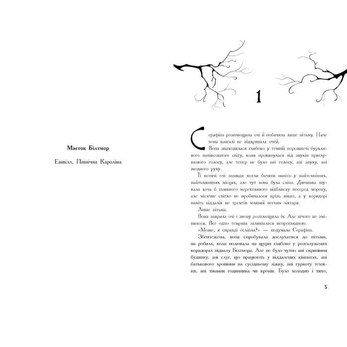 Книга Серафіна. Серафіна і розколоте серце.Книга 3 - Роберт Бітті (9786170954855)