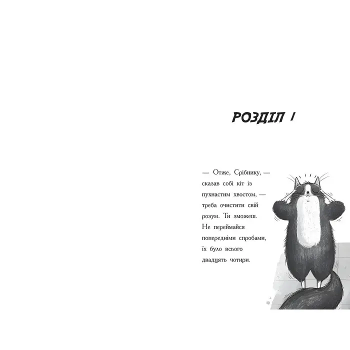 Книга Тото. Кішка-ніндзя та справа про викрадення сиру. Книга 2 - Дермот О'Лірі (9786170974327)