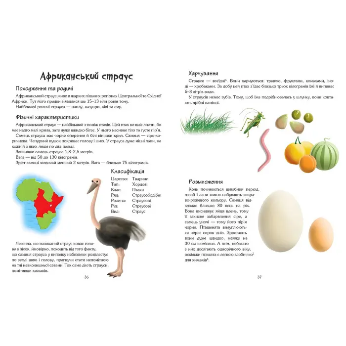 Книга Ведмедики-медики - (9786175383315)