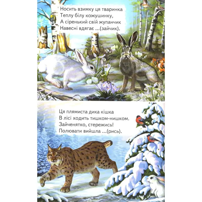 Книга Відгадайко. Загадки - Сборник авторов (9789661694650)