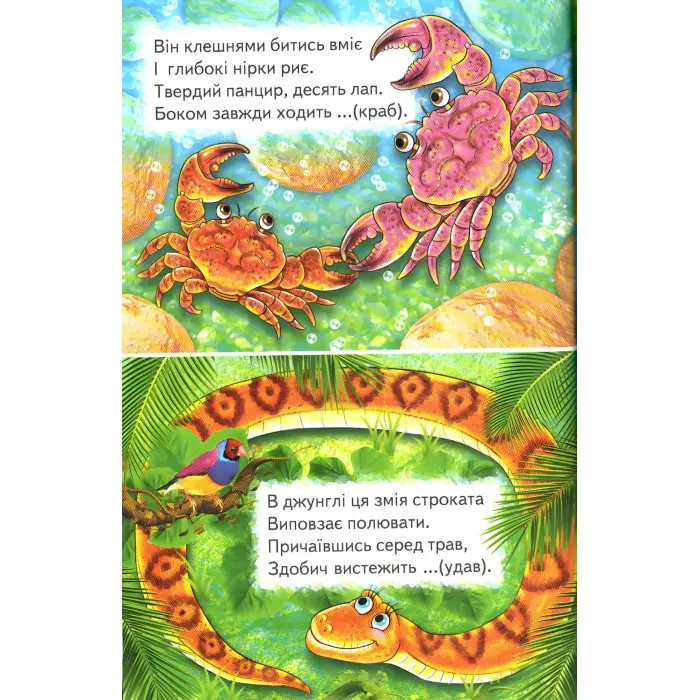 Книга Відгадайко. Загадки - Сборник авторов (9789661694650)