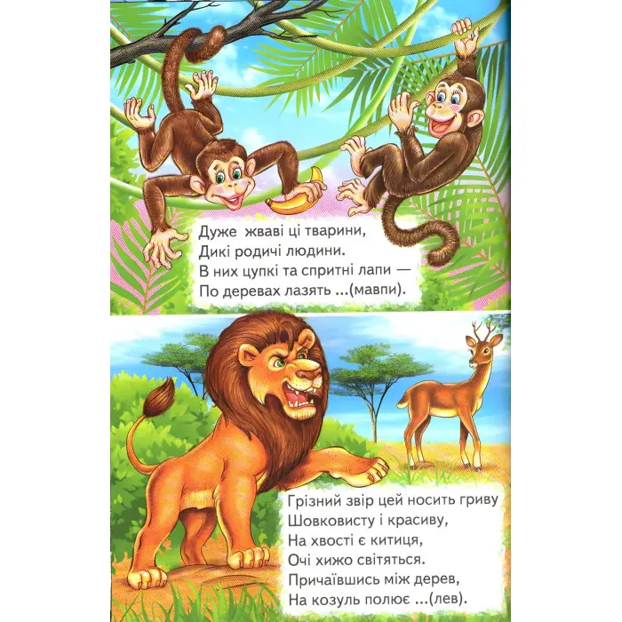 Книга Відгадайко. Загадки - Сборник авторов (9789661694650)