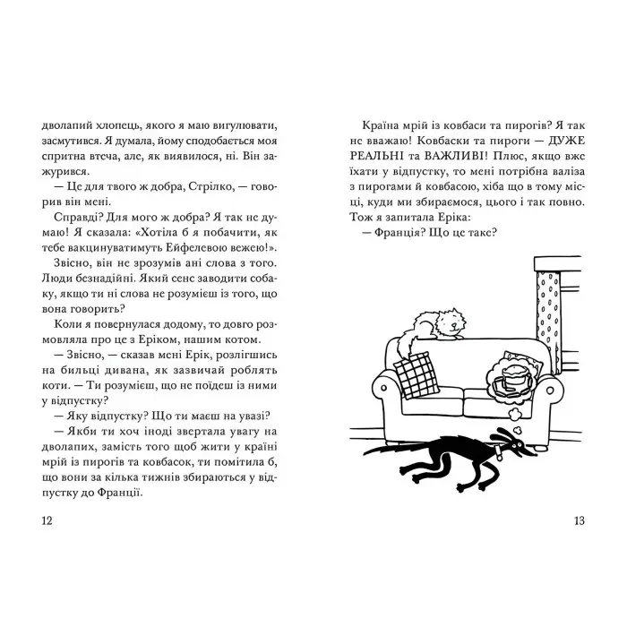 Книга "Викрадення! Гаряче літо Ракети на чотирьох лапах".Том5 - Джереми Стронг (9786176798156)