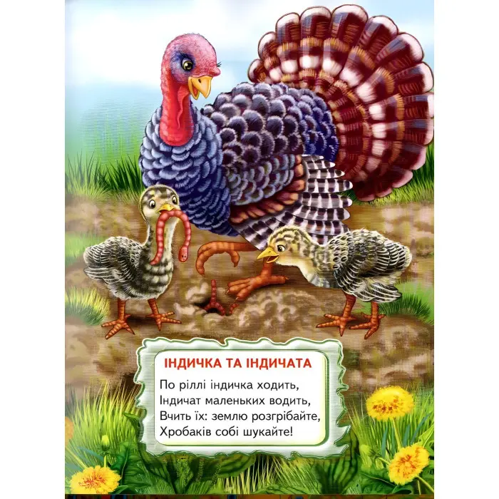 Книга "Віршики-цікавинки" - (9789661694582)