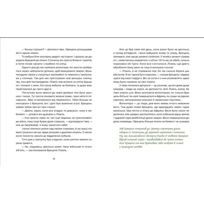 Книга Єнот Ракета та інші герої - Євгенія Завалій (9789664481868)