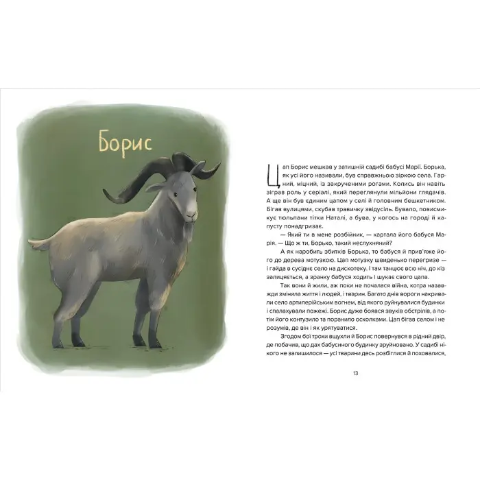 Книга Єнот Ракета та інші герої - Євгенія Завалій (9789664481868)