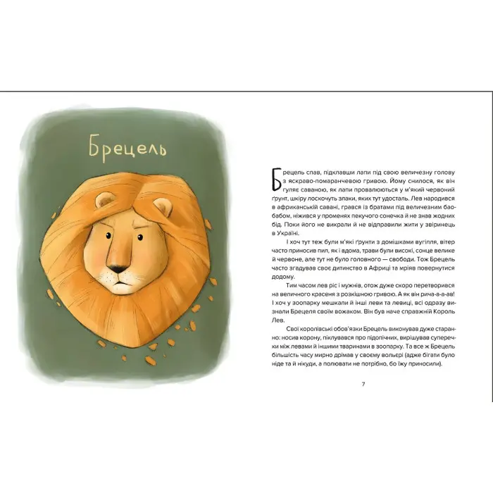 Книга Єнот Ракета та інші герої - Євгенія Завалій (9789664481868)