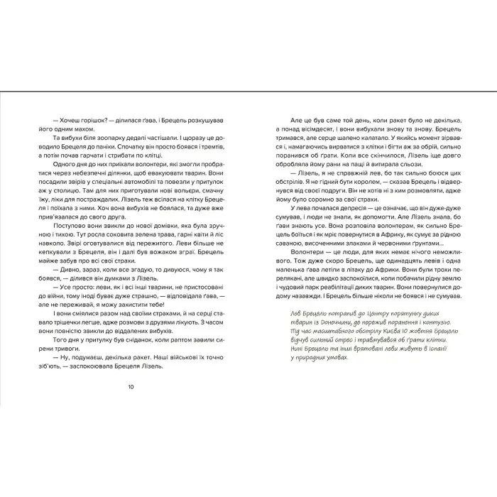 Книга Єнот Ракета та інші герої - Євгенія Завалій (9789664481868)