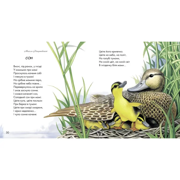 Книга Жовтий гостинець - українські письменники (9786170917379)