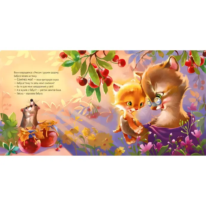 Книга Зворушливі книжки. Кошеня і Сонечко - Єва Сольська (9786170958808)