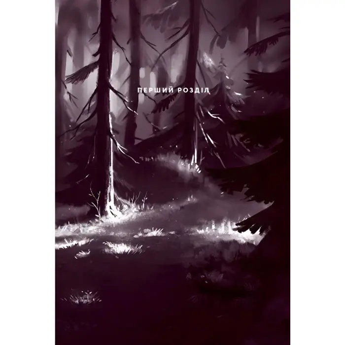 Комікс Північне сяйво. Вікінги й Оракул - Малін Фалк (9786171702523)