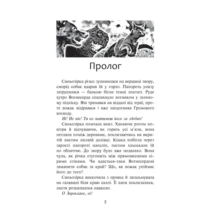 Коти-Вояки. Пророцтво Синьозірки. Спецвидання. Книга 3 - Ерін Хантер (9786177661695)