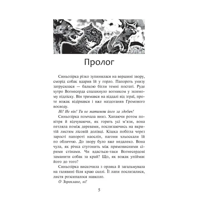 Коти-Вояки. Пророцтво Синьозірки. Спецвидання. Книга 3 - Ерін Хантер (9786177661695)